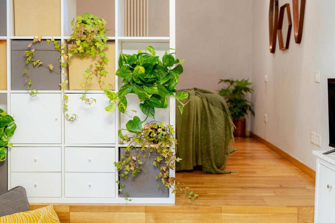 ルッカ Il Cortile Di Elisa & Our Flats Bed & Breakfast エクステリア 写真